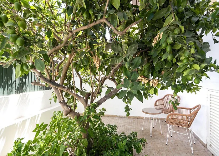 דירה Akicity Penha Peace